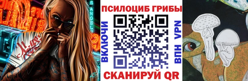Галлюциногенные грибы MAGIC MUSHROOMS  купить  цена  Данилов 